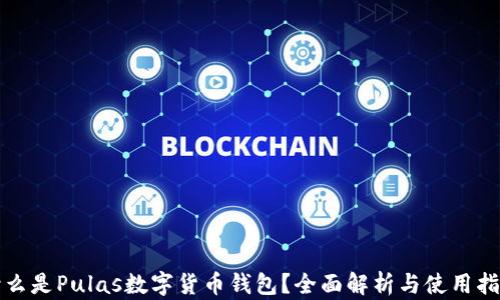 
什么是Pulas數(shù)字貨幣錢包？全面解析與使用指南