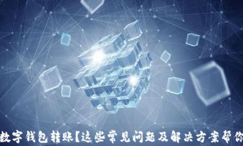 
沒(méi)有收到數(shù)字錢包轉(zhuǎn)賬？這些常見(jiàn)問(wèn)題及解決方案幫你找回資金