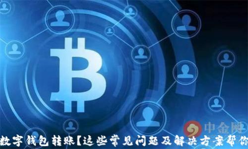 
沒(méi)有收到數(shù)字錢包轉(zhuǎn)賬？這些常見(jiàn)問(wèn)題及解決方案幫你找回資金
