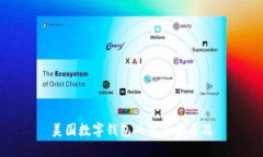 美國數(shù)字錢包的使用和普