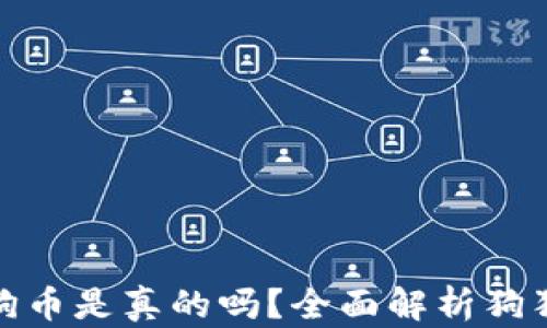 
小狐錢包存狗狗幣是真的嗎？全面解析狗狗幣存儲安全性