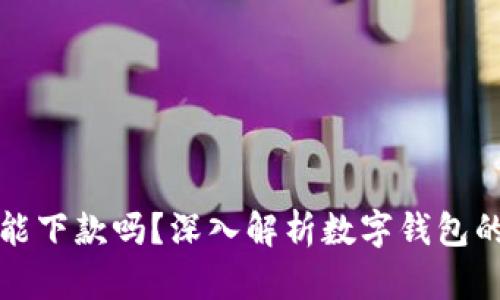 數(shù)字錢包還能下款嗎？深入解析數(shù)字錢包的現(xiàn)狀與未來