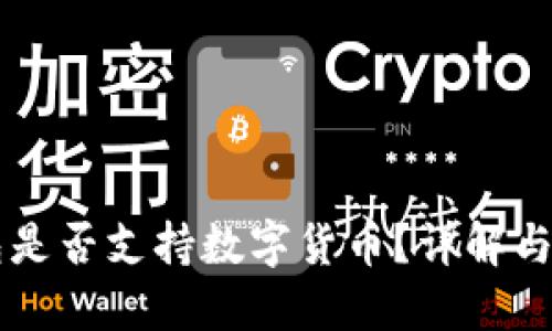 華為錢包是否支持?jǐn)?shù)字貨幣？詳解與未來(lái)展望