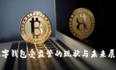 數(shù)字錢(qián)包受監(jiān)管的現(xiàn)狀與