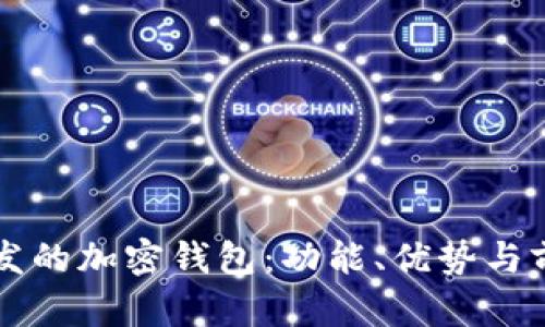 國內開發(fā)的加密錢包：功能、優(yōu)勢與前景分析