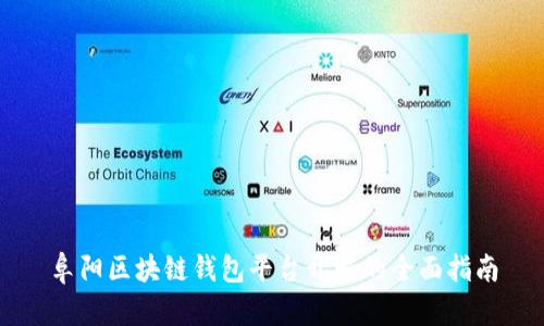 阜陽區(qū)塊鏈錢包平臺(tái)開發(fā)的全面指南