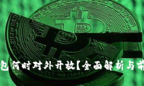 數(shù)字錢(qián)包何時(shí)對(duì)外開(kāi)放？全面解析與前景展望