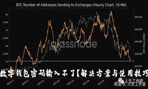 數(shù)字錢包密碼輸入不了？解決方案與使用技巧
