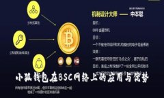 小狐錢(qián)包在BSC網(wǎng)絡(luò)上的應(yīng)