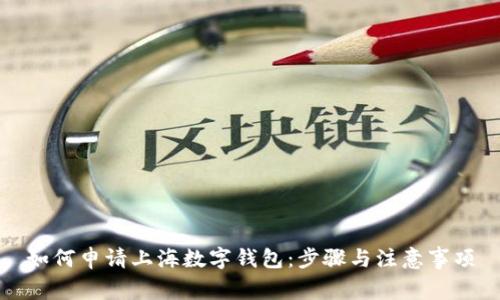 如何申請(qǐng)上海數(shù)字錢(qián)包：步驟與注意事項(xiàng)