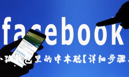 如何找回小狐錢包里的中本聰？詳細(xì)步驟與解決方案