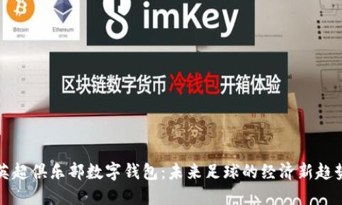 英超俱樂部數(shù)字錢包：未來足球的經(jīng)濟(jì)新趨勢(shì)
