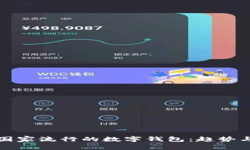 南美國(guó)家流行的數(shù)字錢包：趨勢(shì)與選擇