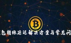 小狐錢包轉賬延遲解決方案與常見問題分析