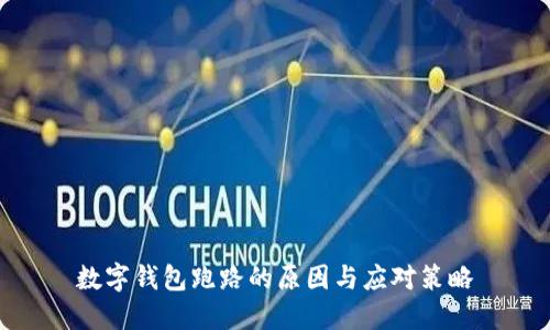 數(shù)字錢包跑路的原因與應(yīng)對(duì)策略