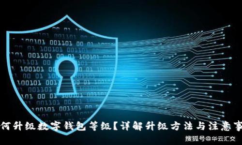 如何升級數(shù)字錢包等級？詳解升級方法與注意事項(xiàng)