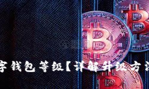 如何升級數(shù)字錢包等級？詳解升級方法與注意事項(xiàng)