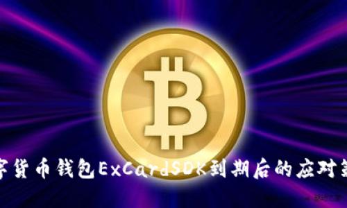 數(shù)字貨幣錢包ExCardSDK到期后的應(yīng)對(duì)策略