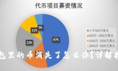 小狐錢(qián)包里的幣消失了怎