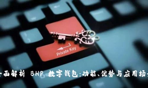 全面解析 BHP 數(shù)字錢包：功能、優(yōu)勢與應(yīng)用場景
