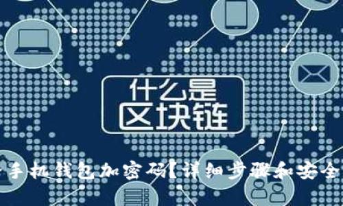 如何給手機(jī)錢包加密碼？詳細(xì)步驟和安全性分析