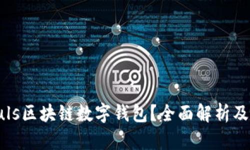 什么是Puls區(qū)塊鏈數(shù)字錢包？全面解析及應(yīng)用前景