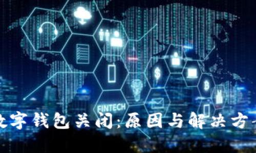 農行數字錢包關閉：原因與解決方案詳解