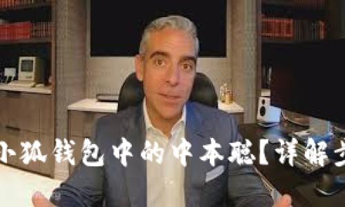 如何找回小狐錢(qián)包中的中本聰？詳解步驟與技巧