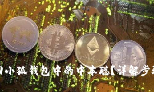 如何找回小狐錢(qián)包中的中本聰？詳解步驟與技巧