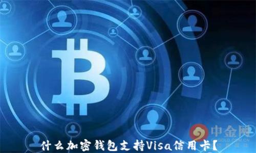 
什么加密錢包支持Visa信用卡？
