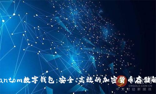 探索Phantom數(shù)字錢包：安全、高效的加密貨幣存儲(chǔ)解決方案