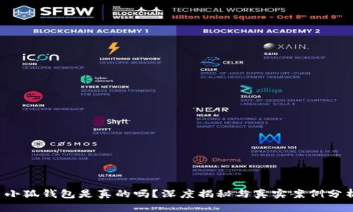  小狐錢包是真的嗎？深度揭秘與真實(shí)案例分析