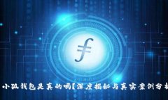  小狐錢包是真的嗎？深度
