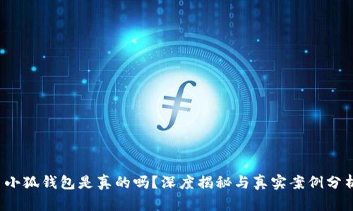  小狐錢包是真的嗎？深度揭秘與真實(shí)案例分析