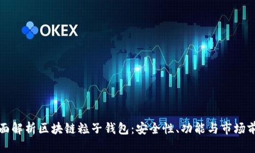 全面解析區(qū)塊鏈粒子錢包：安全性、功能與市場(chǎng)前景