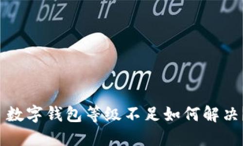  數(shù)字錢(qián)包等級(jí)不足如何解決？