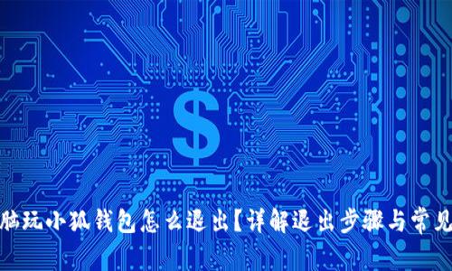 : 電腦玩小狐錢包怎么退出？詳解退出步驟與常見(jiàn)問(wèn)題