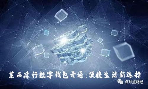 萊西建行數字錢包開通：便捷生活新選擇
