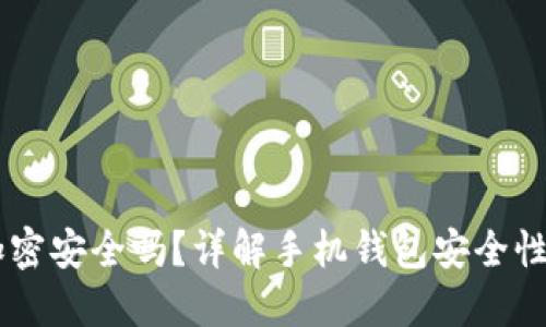 手機錢包加密安全嗎？詳解手機錢包安全性的方方面面