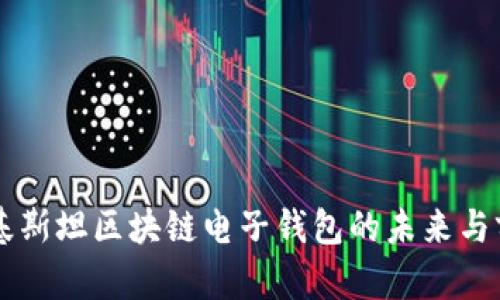 巴基斯坦區(qū)塊鏈電子錢(qián)包的未來(lái)與前景