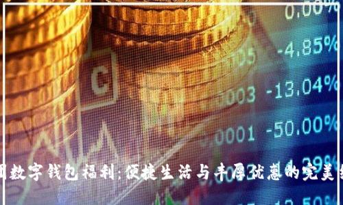 美團(tuán)數(shù)字錢包福利：便捷生活與豐厚優(yōu)惠的完美結(jié)合