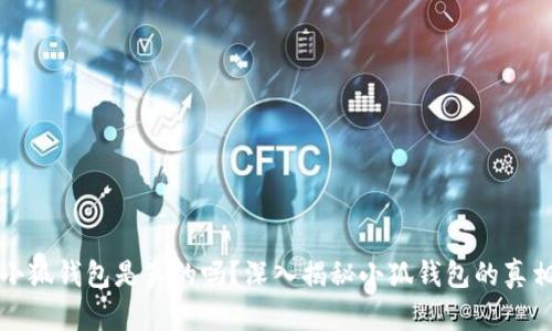 小狐錢包是真的嗎？深入揭秘小狐錢包的真相