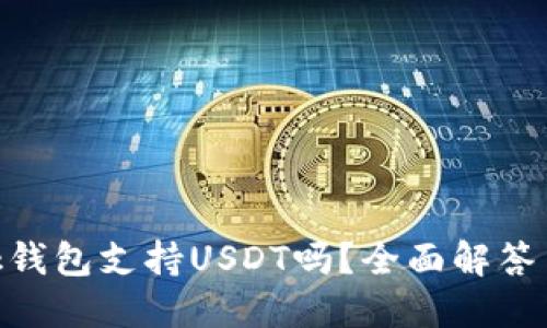 MetaMask錢包支持USDT嗎？全面解答與使用指南