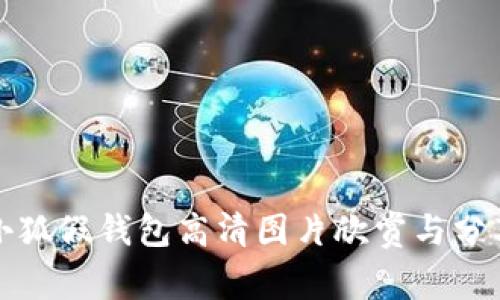 小狐假錢包高清圖片欣賞與分享