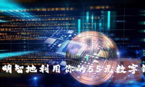 如何明智地利用你的55元數(shù)字錢(qián)包？