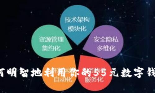 如何明智地利用你的55元數(shù)字錢(qián)包？
