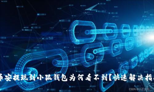 幣安提現(xiàn)到小狐錢包為何看不到？快速解決指南