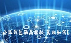 小狐錢包騙局揭秘：真相