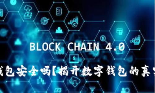 小狐錢包安全嗎？揭開數(shù)字錢包的真實面紗