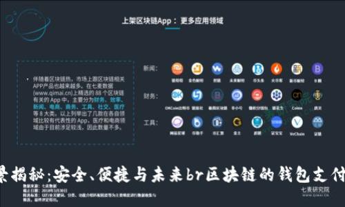 區(qū)塊鏈錢包支付的全景揭秘：安全、便捷與未來br區(qū)塊鏈的錢包支付：安全與便捷的未來br
